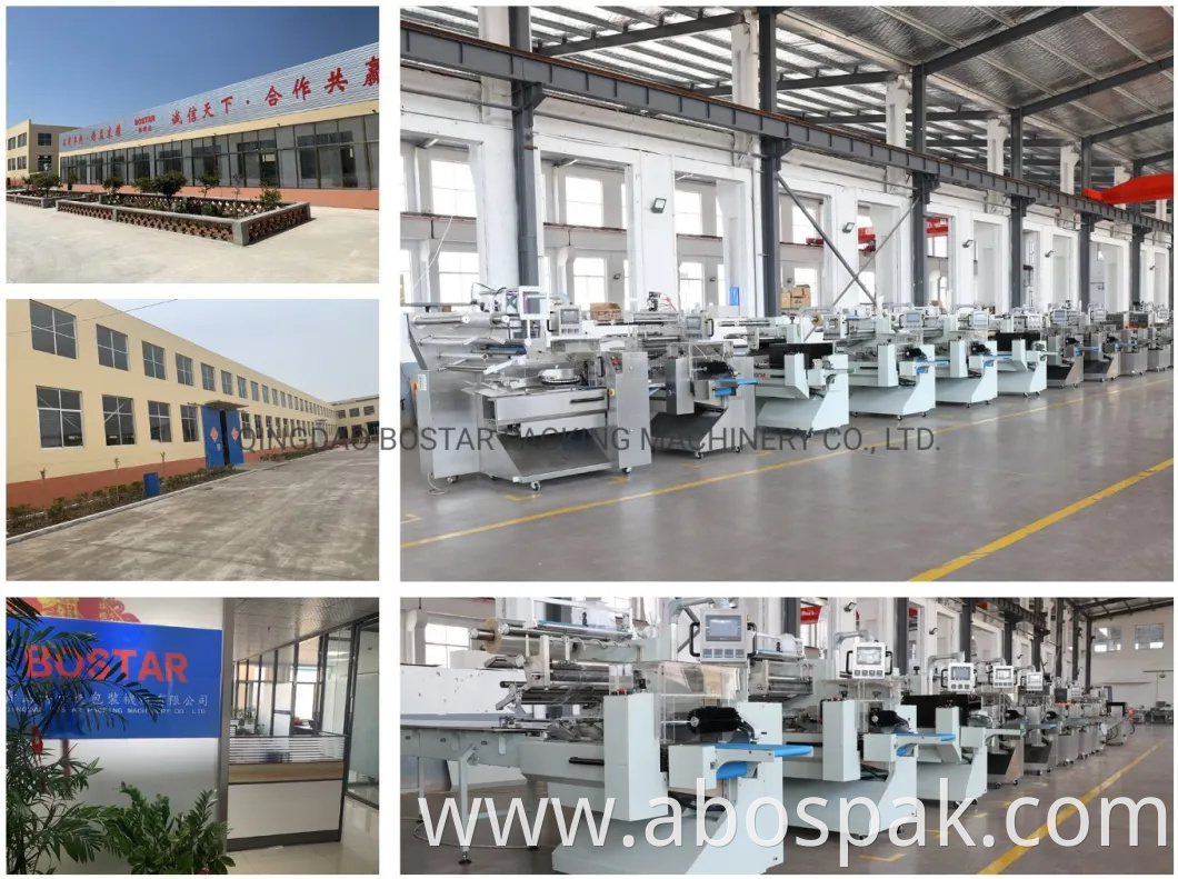 Automatic Loaf/Hotdog/Red-Hot/Lavash Bread/Arabic Pita/Slice Bread/Food Pouch Packing Packaging Machine Machinery